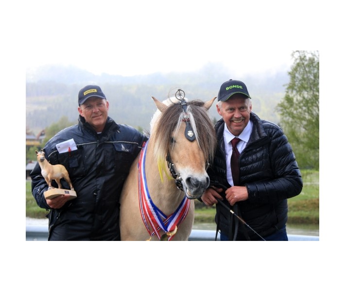 Norway stallion show 2021