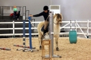 2015 Int Horse Show Sweden_10