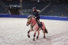 2015 Int Horse Show Sweden_3