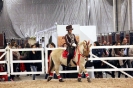 2015 Int Horse Show Sweden_6