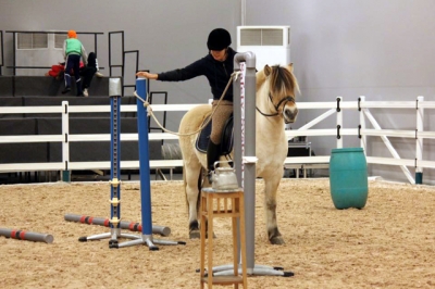 2015 Int Horse Show Sweden_10