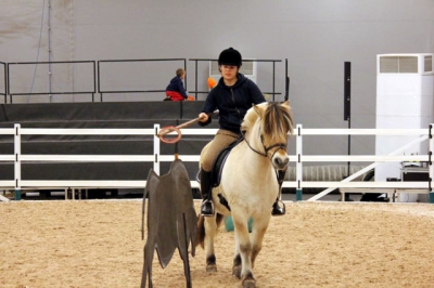 2015 Int Horse Show Sweden_5